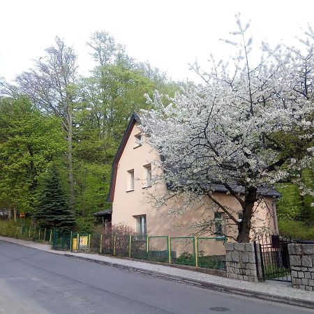 Willa Rozalia Szklarska Poreba Bagian luar foto